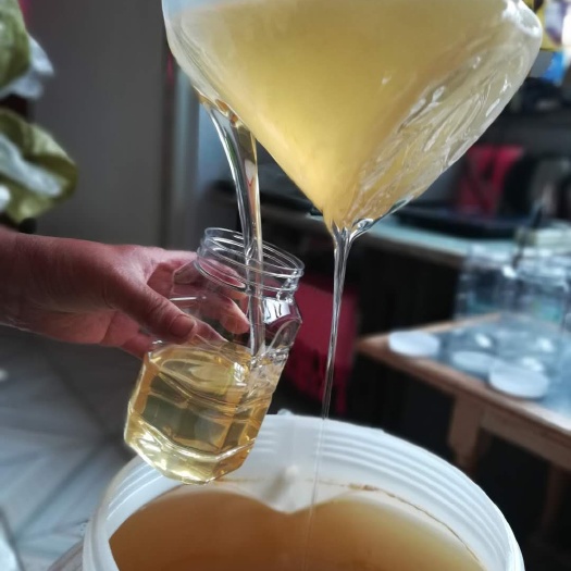 烟台 百花蜜樱桃蜜槐花蜜枣花蜜荆花蜜苹果蜜蜂王浆天然