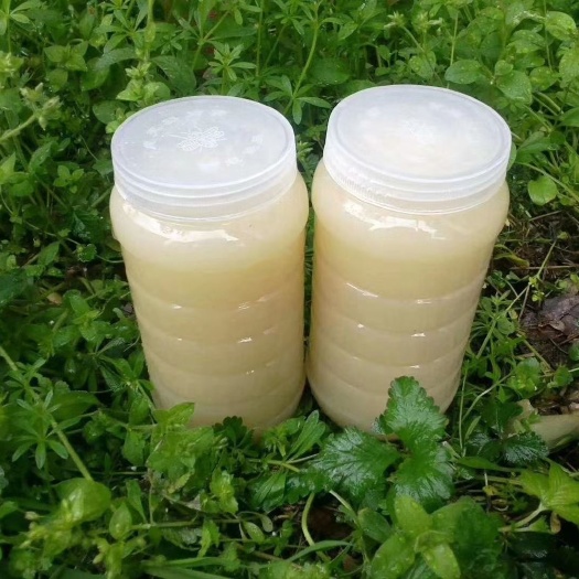 岐山县油菜蜜 自己手工油菜花蜜