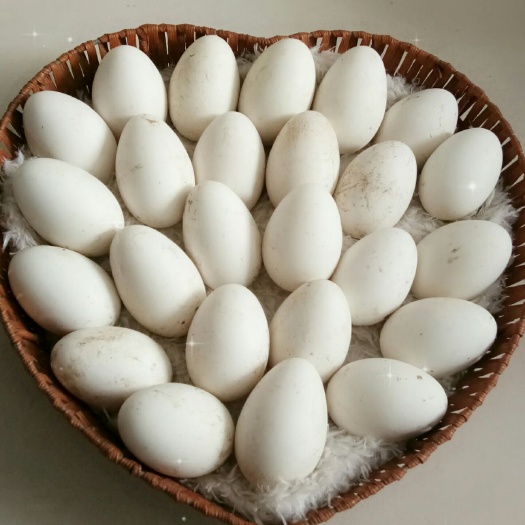 迁安市 青龙河畔鹅蛋