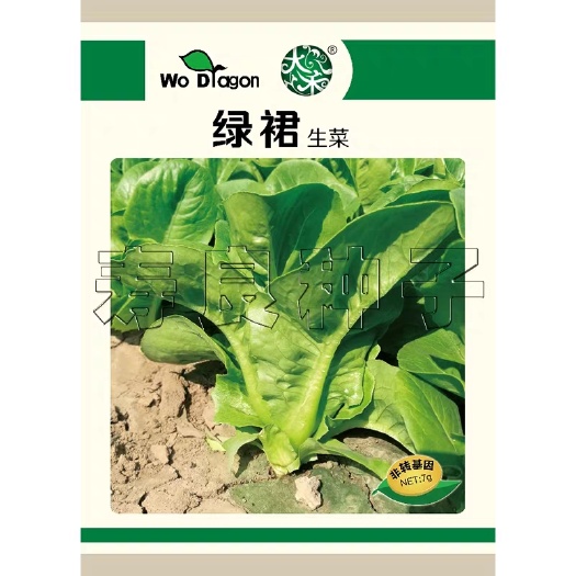 生菜种子 生菜种籽绿裙奶油大厚包肉板叶四季盆栽观赏生吃韩国蔬菜种子