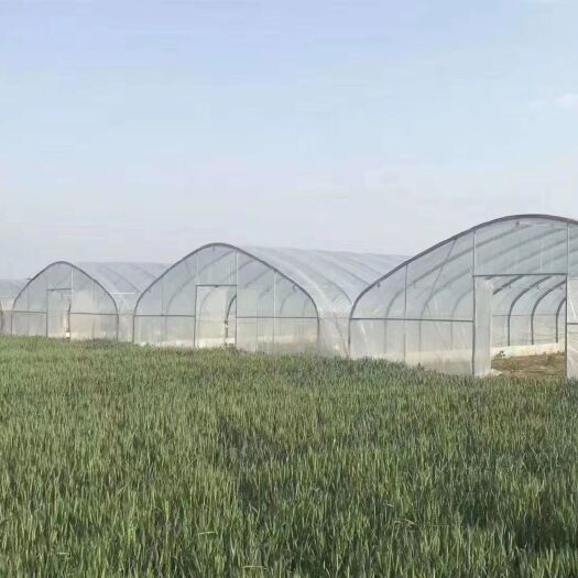 天津塑料薄膜温室大棚 大棚骨架 大棚钢管椭圆管包塑管 规格齐全厂家直销量大优惠
