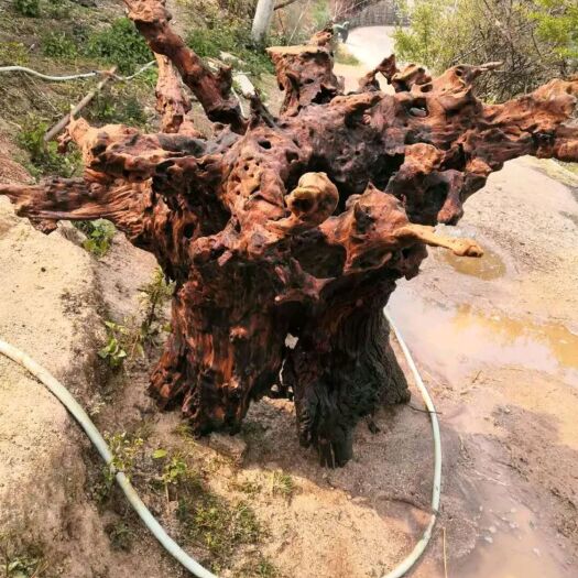 威信县 大量出售根雕