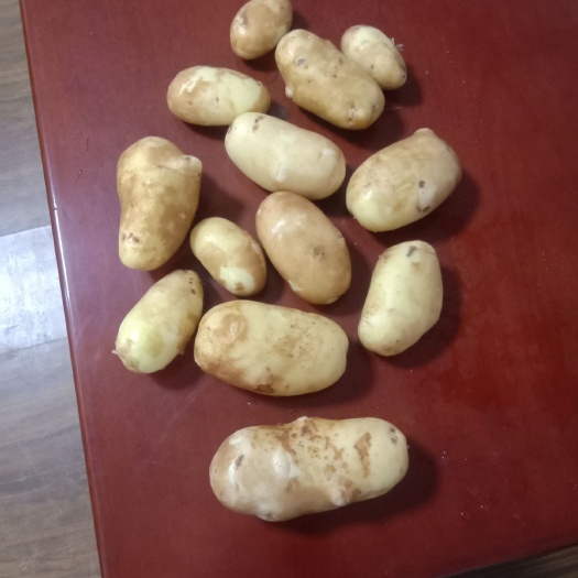  闽薯一号。土豆正崇红心土豆