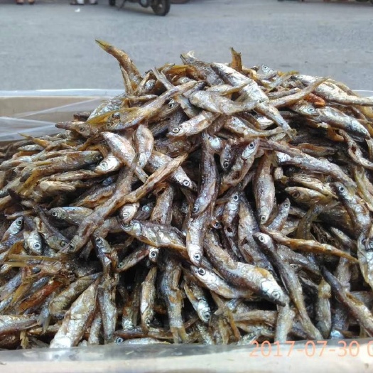 玉林小鱼干 不开肚小白条