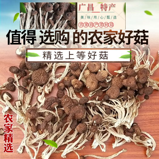 广昌县 新品推荐江西广昌土特产农家自产自销无公害茶树菇干货