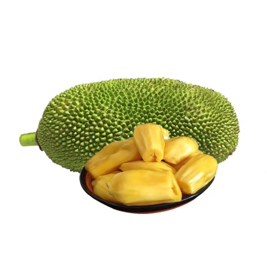 文昌市 海南本地热带水果菠萝蜜
