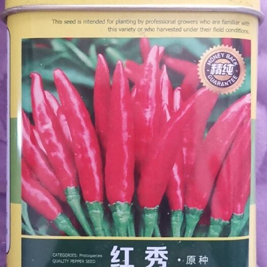 邹城市 辣椒苗出售