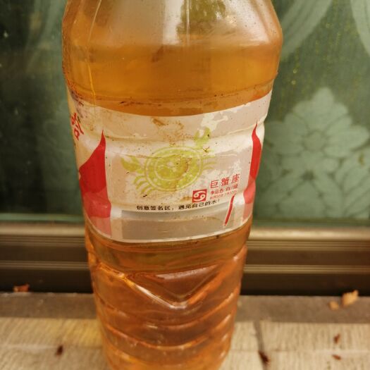 天柱县 农家自养蜂蜜