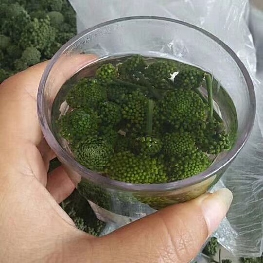 阿克苏市云南文山三七花