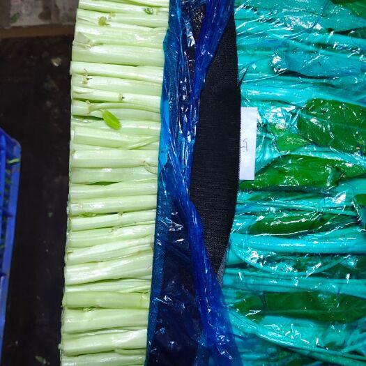 广州白梗空心菜 脆绿白通菜，欢迎前来选购