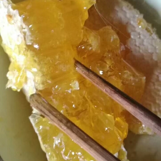 西和县土蜂蜜  我养的土蜜蜂，来自，老蜂箱，一年取一次蜜，无人工添加