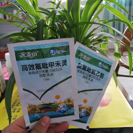 农药除草剂 生姜田苗后专用除草剂 定姜山 套装5叶用