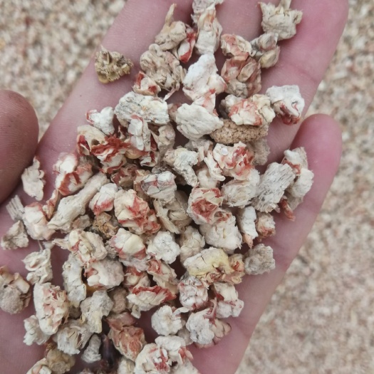 西华县食用菌渣  优质玉米芯用去食用菌，垫料，等