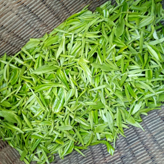 英山县高山绿茶 1年以下