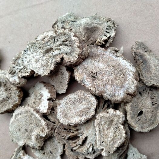 安国市 正品云木香药材木香片木香中药500g可磨木香粉