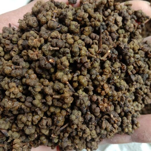 罗城县 广西中花吴茱萸干货出卖每公斤120