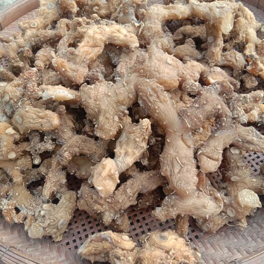 长阳县 干黄精，泡酒，