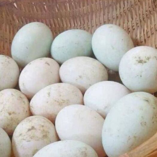 颍上县土鸭蛋 自家散养