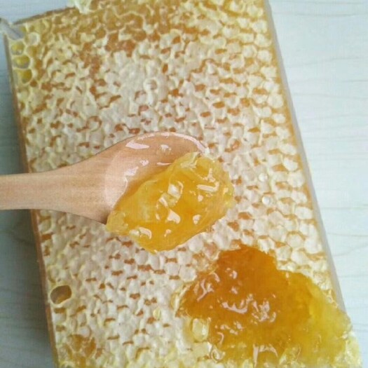 巨鹿县 大量供应自家蜂蜜 蜂巢蜜 洋槐蜜 油菜花蜜 枣花蜜等