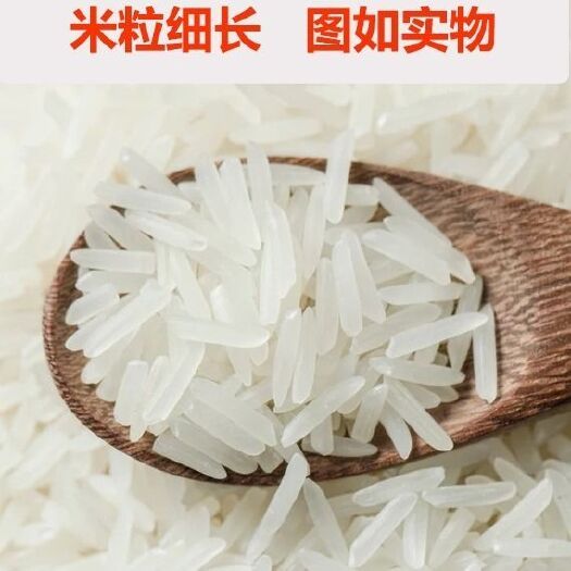  湖北京山特產(chǎn)貢米洋硒早 泉水灌溉 米粒細(xì)長 五斤包郵