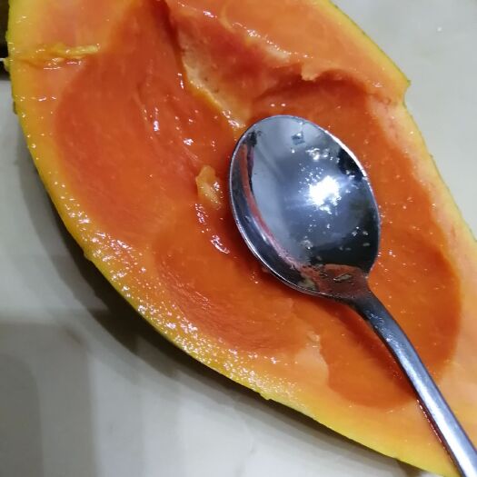 南宁 广西水果牛奶木瓜每日新鲜采摘现货发售