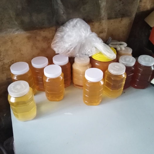 烟台 土蜂蜜百花蜜苹果蜜樱桃蜜槐花蜜枣花蜜荆花蜜自养蜜蜂