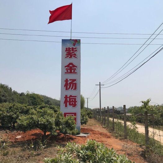 鄱阳县 大美鄱阳湖，生态农业园，紫金杨梅园欢迎您！
