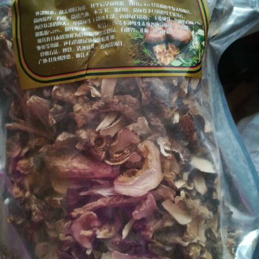 广州 藏区无污染的松茸