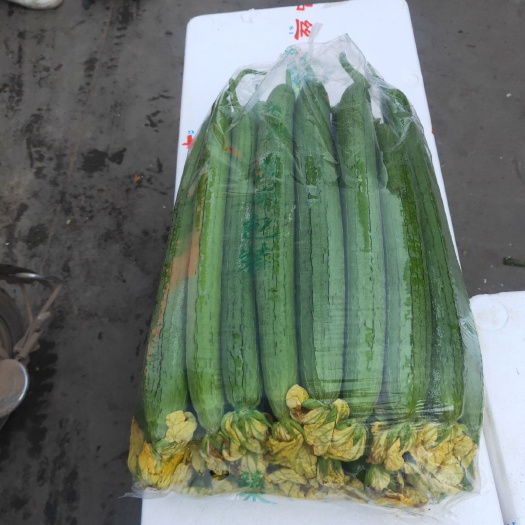 蔬菜大棚 根据我处天气炎热。所有蔬菜价格下滑。有需要的老板直