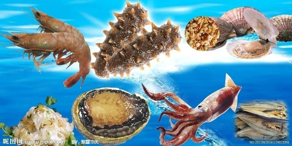咨询服务 海产品养殖技术培训