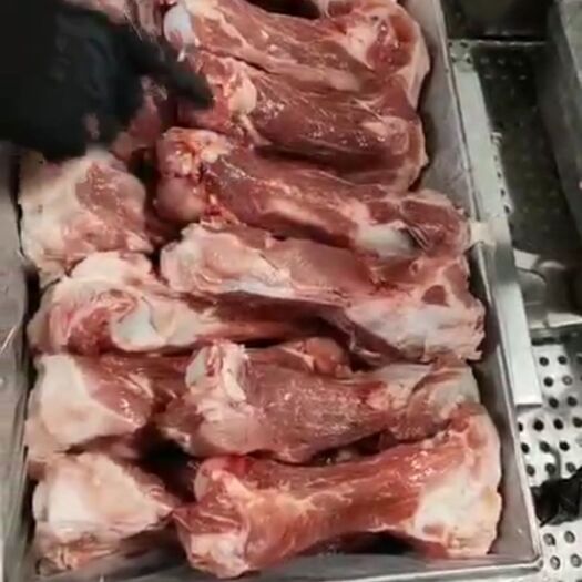 曹县猪筒骨 新鲜棒骨