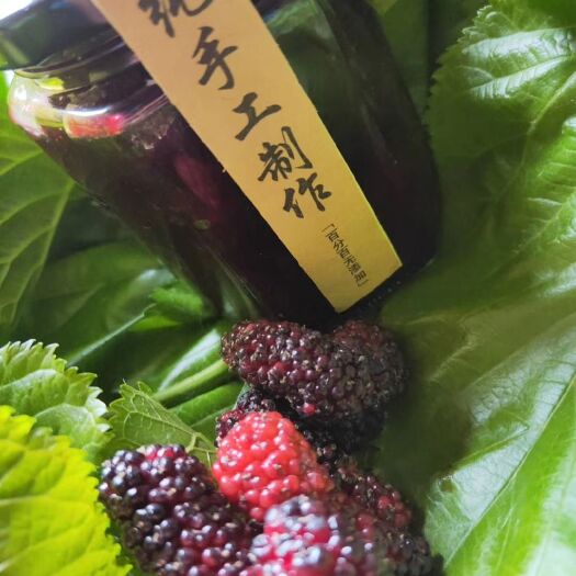 商丘 桑葚果酱