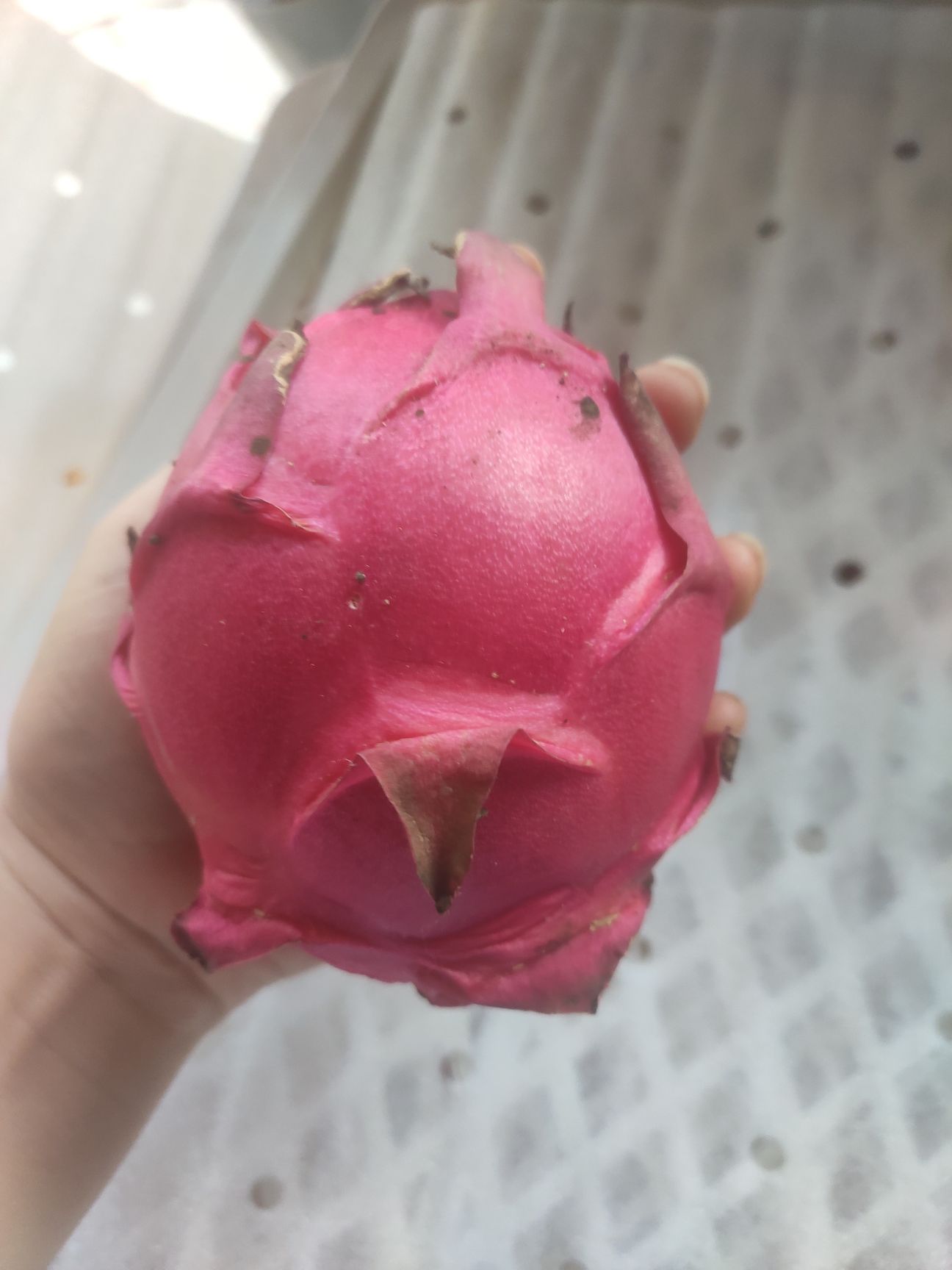  金都一号火龙果  一件代发  产地直供