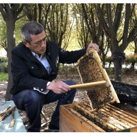 虞城县 土蜂蜜