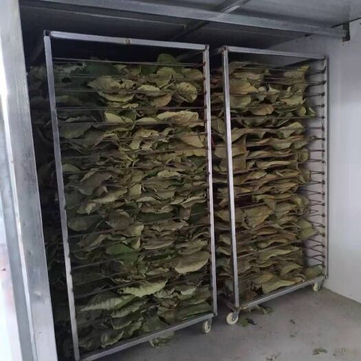 微山县预售2025年150吨烘干荷叶.