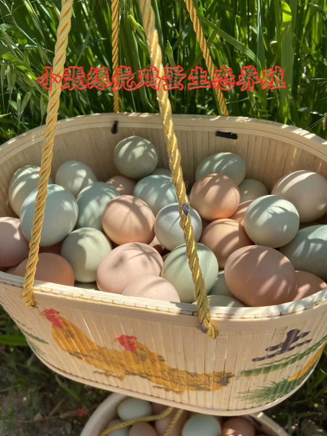 随州绿壳蛋  土鸡蛋粉蛋破损含运费包赔鸡厂
