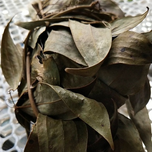 沅陵县红雪茶 清心火