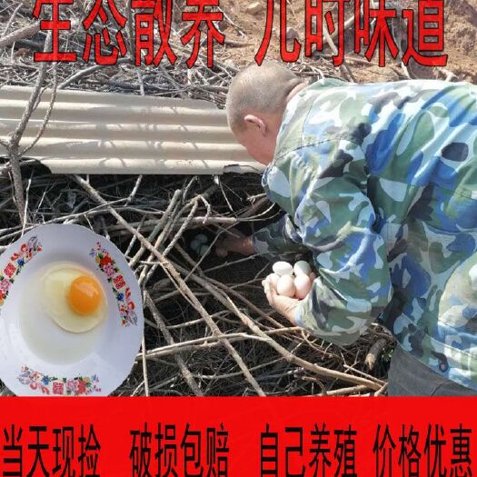 京山市粉蛋土鸡蛋420枚装当天现捡散养土鸡蛋全国发货感好保质保量