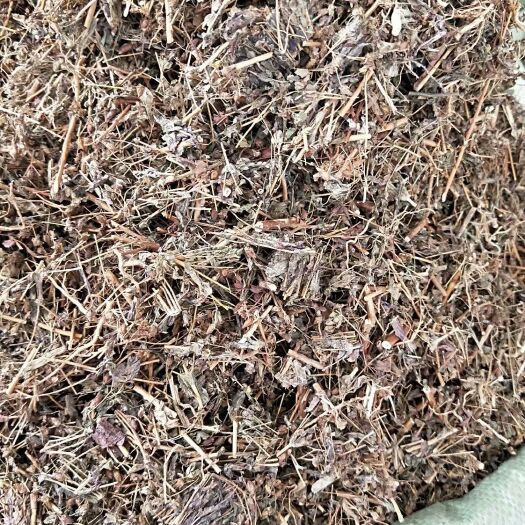 亳州 元宝草，对月草 各种规格专营中药批发