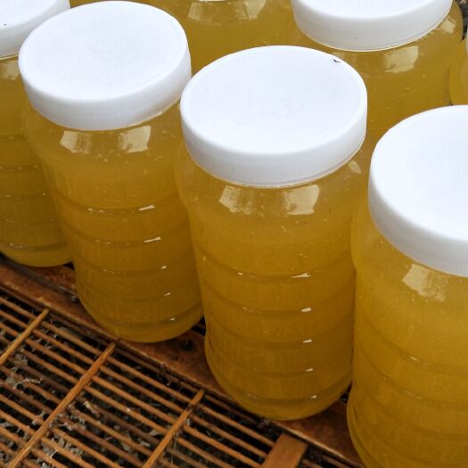 宁蒗县意蜂蜂蜜 云南丽江大山里的养蜂人