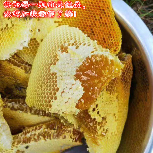 中宁县 自家养洋蜂蜜