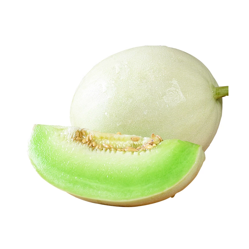 山东聊城莘县新鲜玉菇甜瓜 当日采摘现发货 产地直供批发