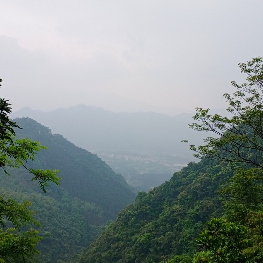 桂林宅基地 宝地.发财的基础。