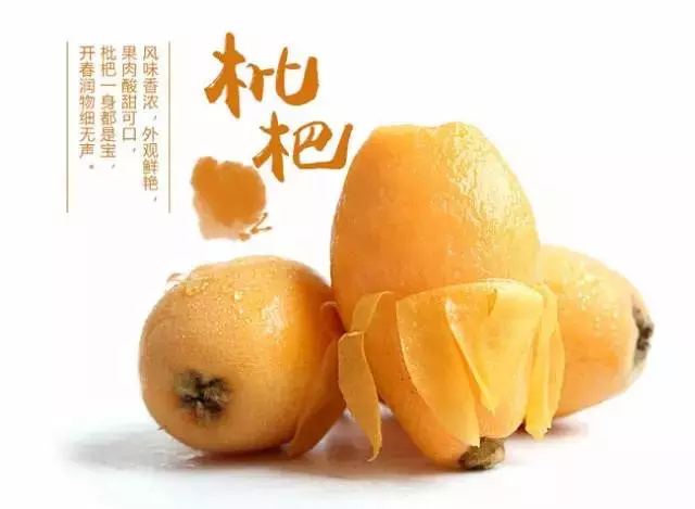 象山县 浙江樊岙白沙枇杷