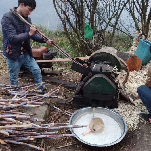 贞丰县 天热红糖，.不包邮数量有限