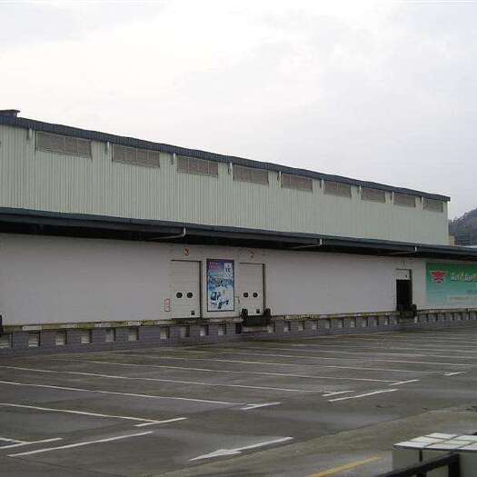 冷冻库租赁 冻库出租