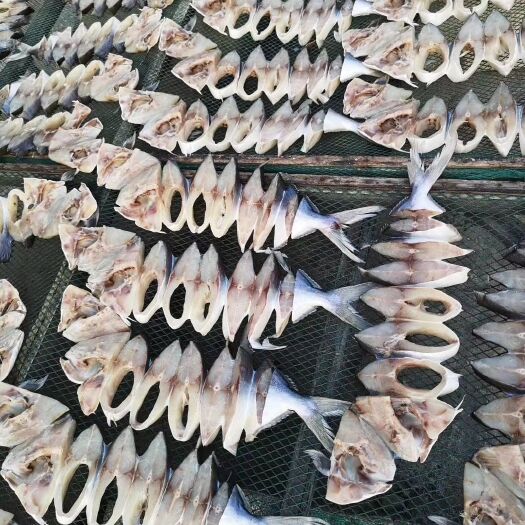 湛江 金昌鱼干批发零售