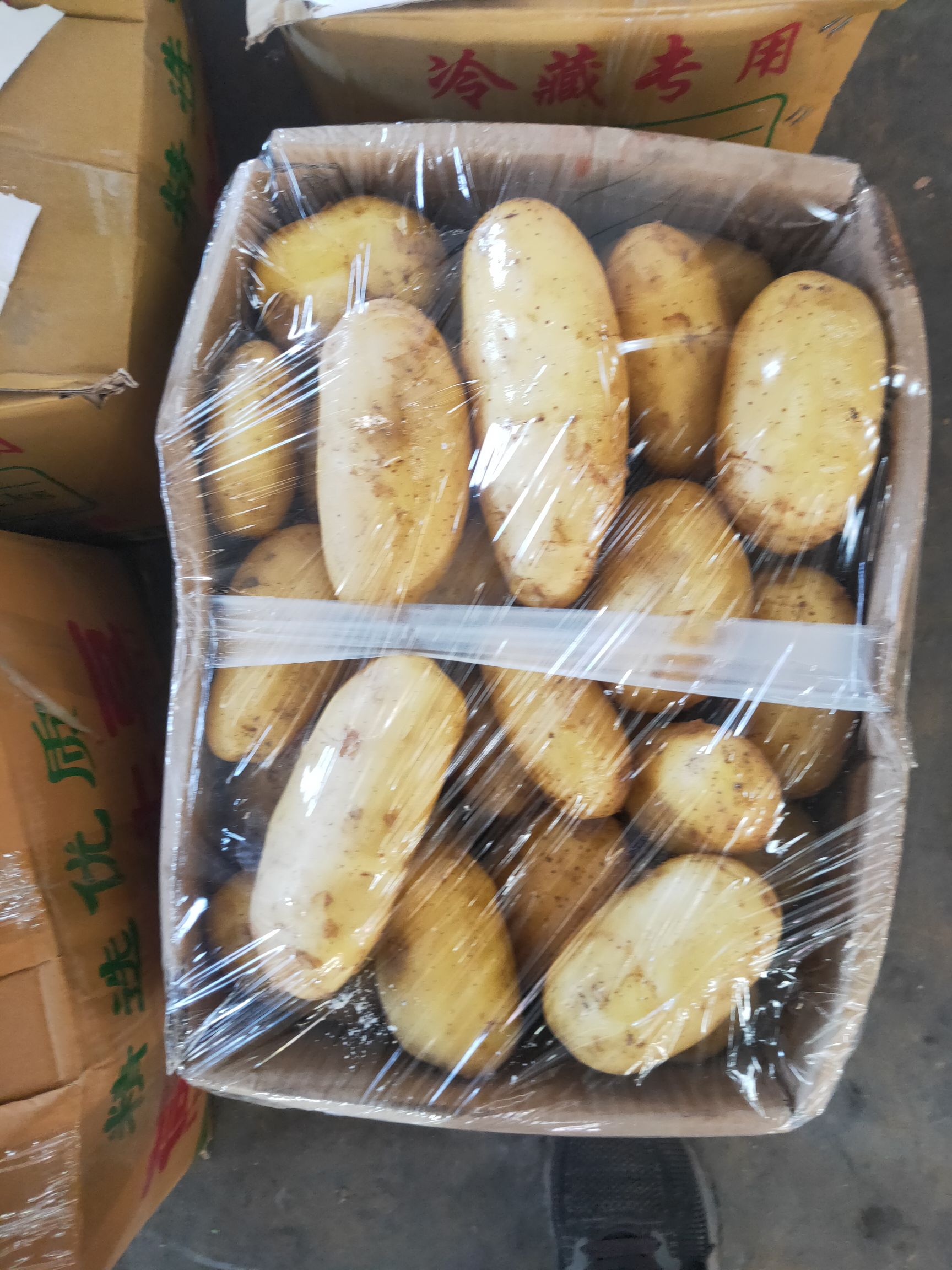 邯郸黄心土豆  荷兰土豆大量上市新土豆。