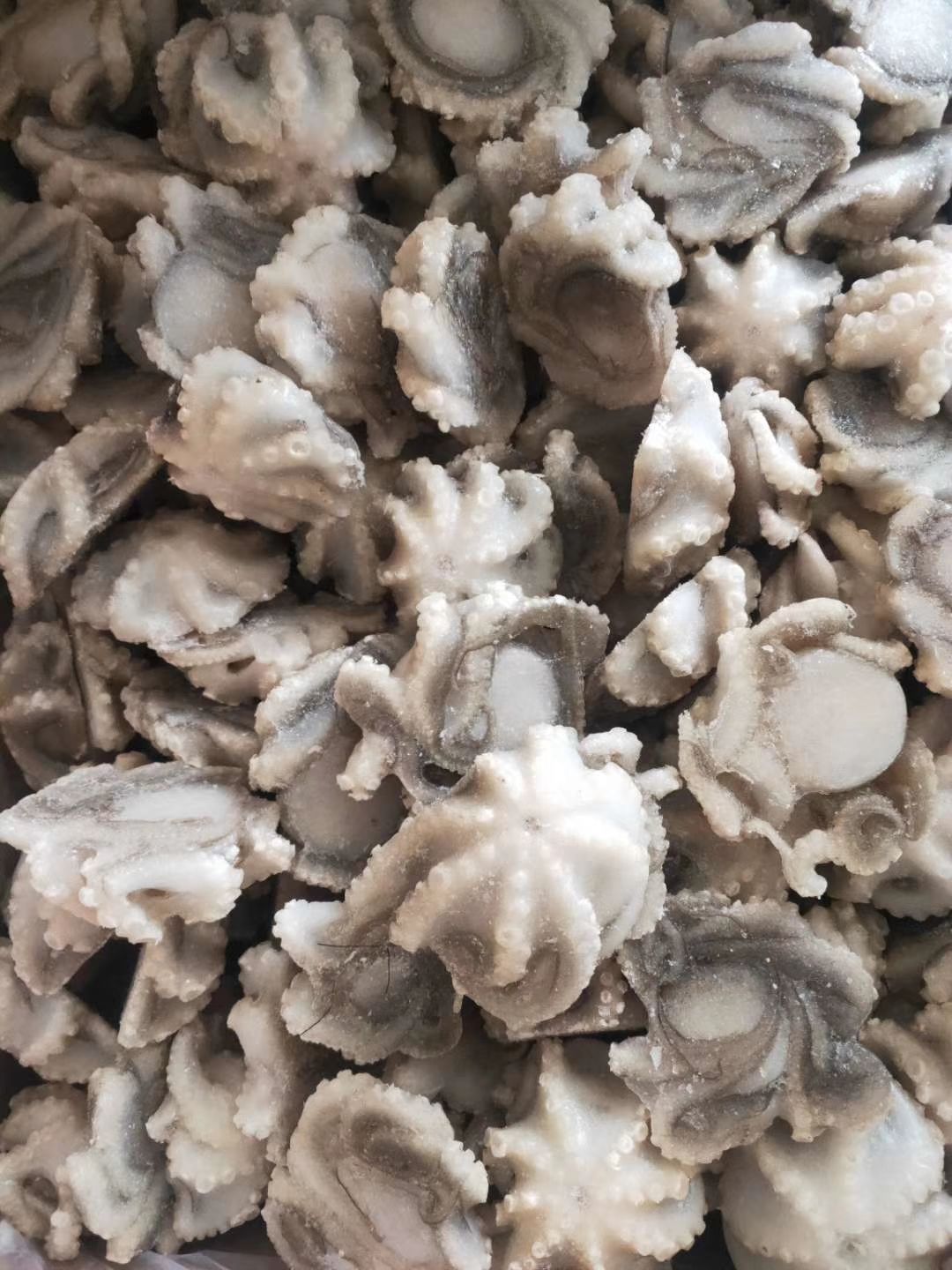 章鱼  盐揉八爪鱼