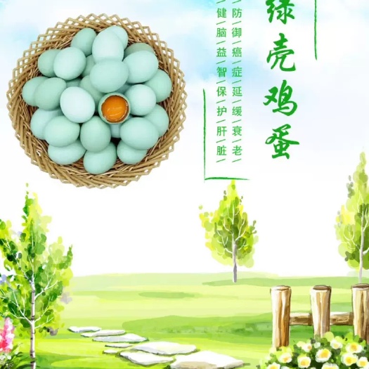 天柱县 贵州天柱绿皮土鸡蛋